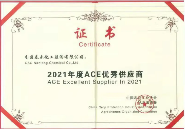 ACE展會獲獎.png